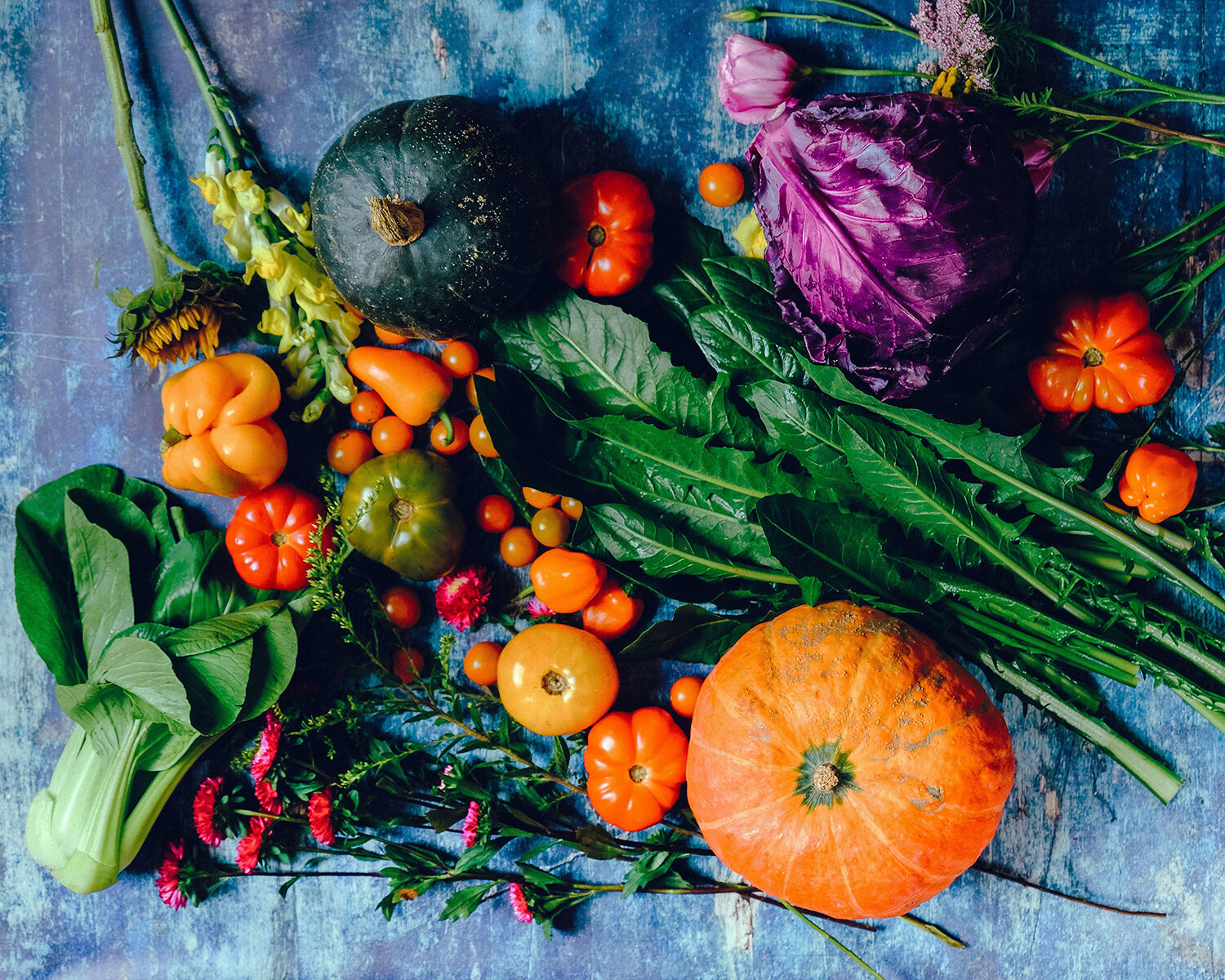Summer session of Fort Bend Regional Vegetable Conference slated for July 29